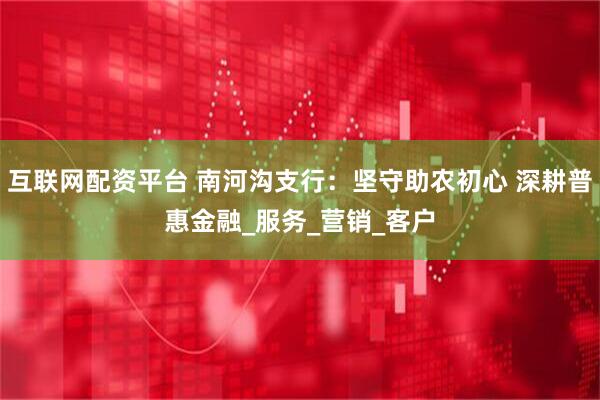 互联网配资平台 南河沟支行：坚守助农初心 深耕普惠金融_服务_营销_客户